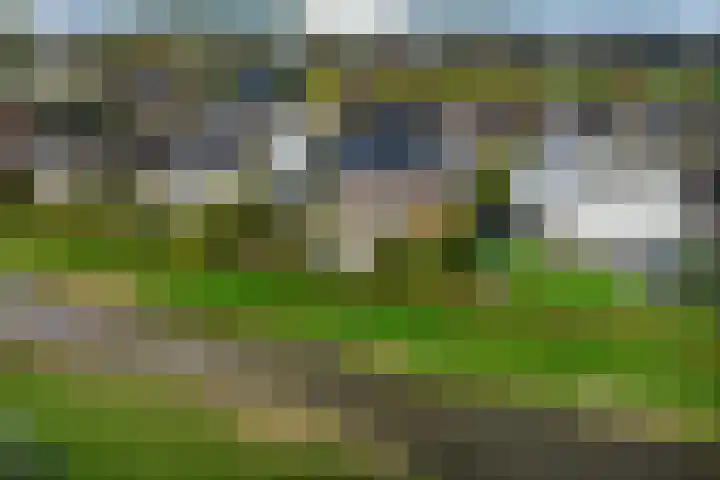 Vennendal 12 Lelystad thumbnail 57