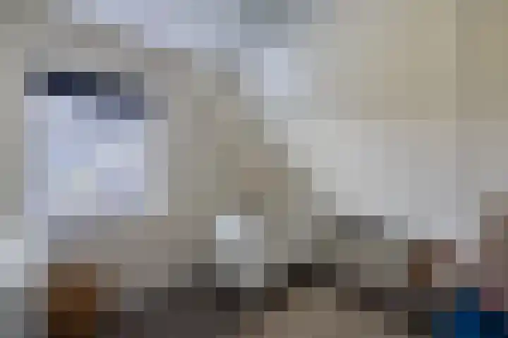 Vennendal 57 Lelystad thumbnail 34