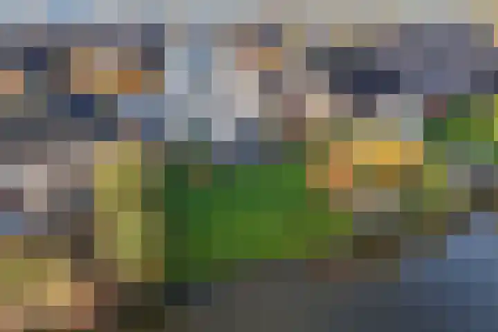 Vennendal 57 Lelystad thumbnail 42
