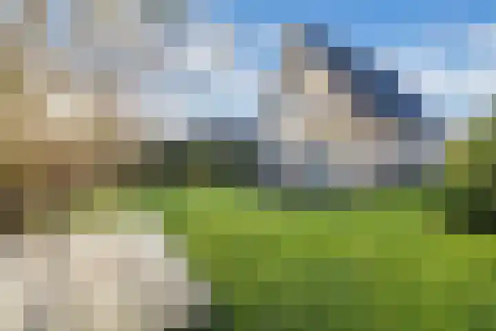 Vennendal 57 Lelystad thumbnail 45
