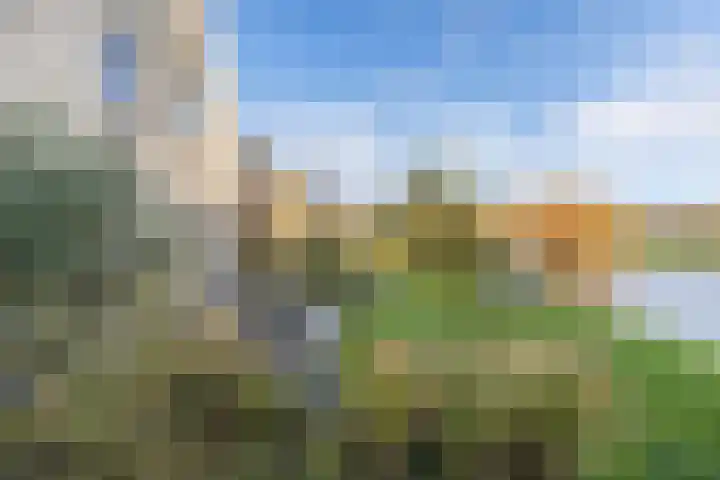 Vennendal 57 Lelystad thumbnail 46