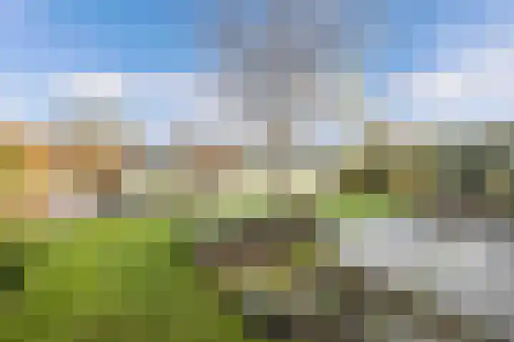 Vennendal 57 Lelystad thumbnail 53
