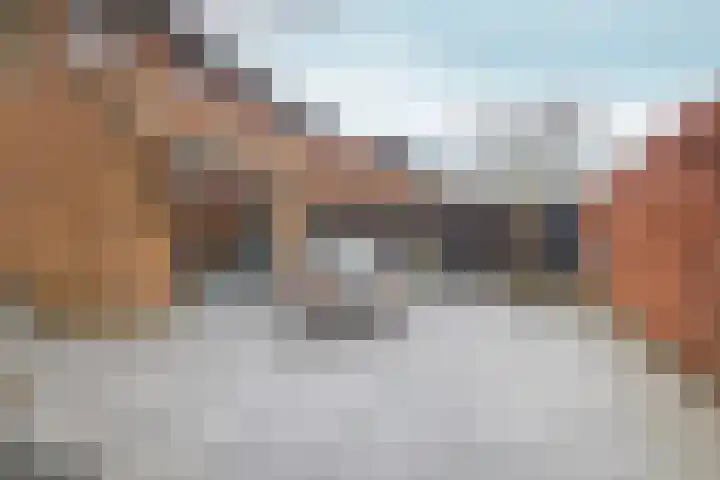 Vennenland 27 Assendelft thumbnail 34