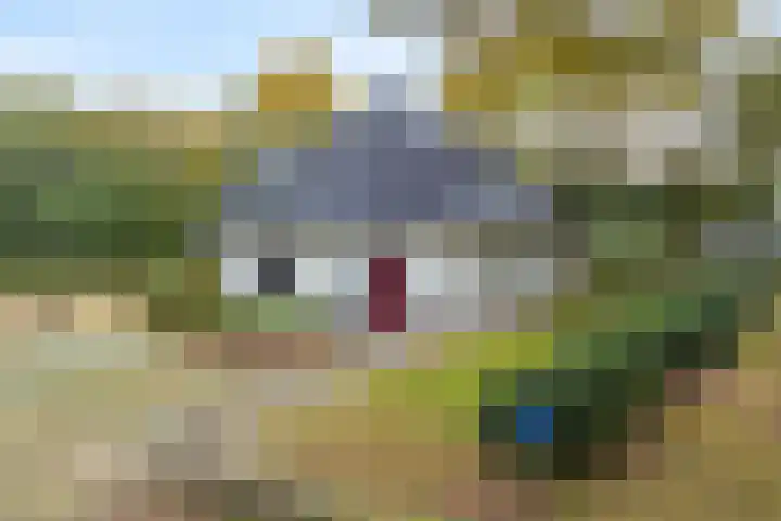 Vennenweg 1 Meeden