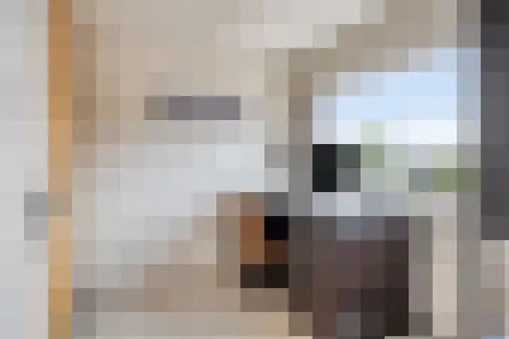 Vennestraat 1 Drunen thumbnail 23