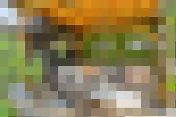 Vennestraat 1 Drunen thumbnail 4