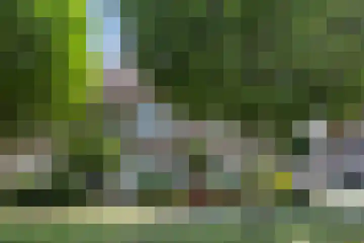 Vennestraat 1 Drunen thumbnail 41