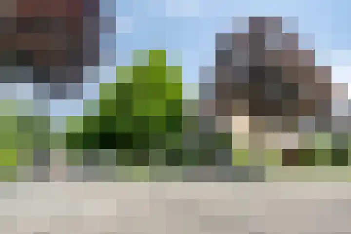 Vennestraat 1 Drunen thumbnail 42