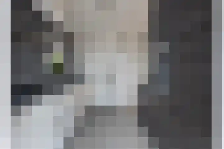 Vennestraat 13 Drunen thumbnail 13