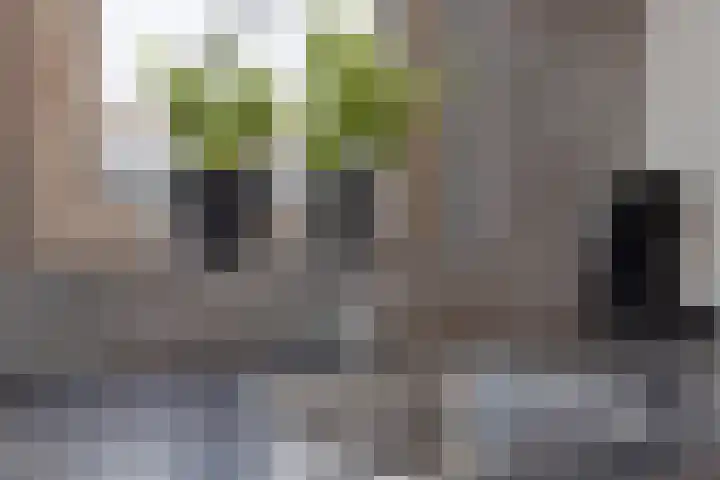 Vennestraat 13 Drunen thumbnail 14