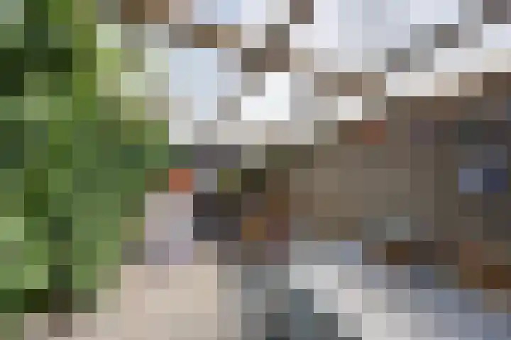 Vennestraat 13 Drunen thumbnail 34