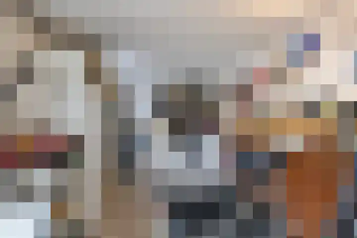 Vennestraat 13 Drunen thumbnail 35