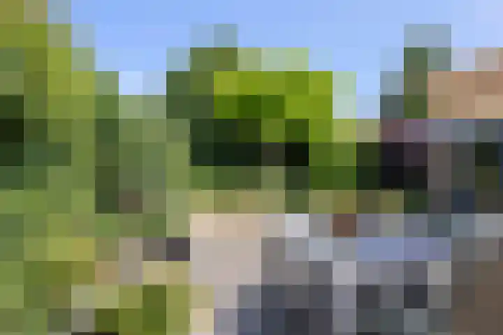 Vennestraat 13 Drunen thumbnail 4