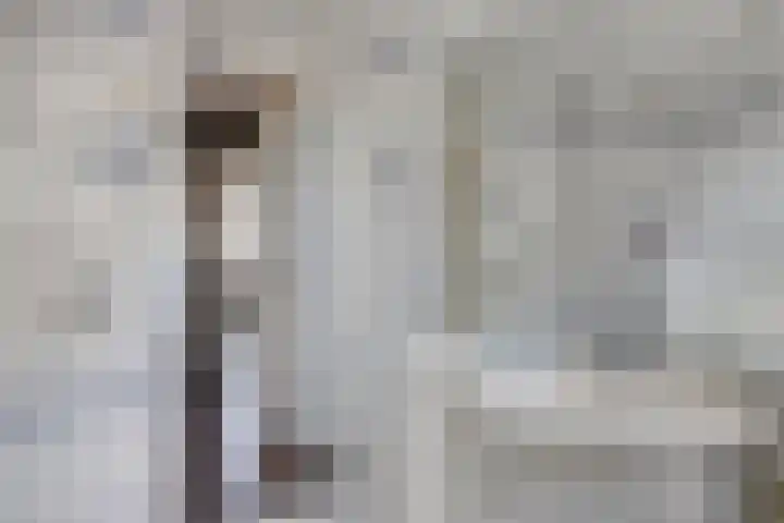 Vennestraat 35 Drunen thumbnail 14