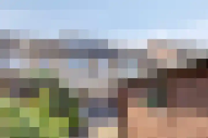 Vennestraat 35 Drunen thumbnail 24