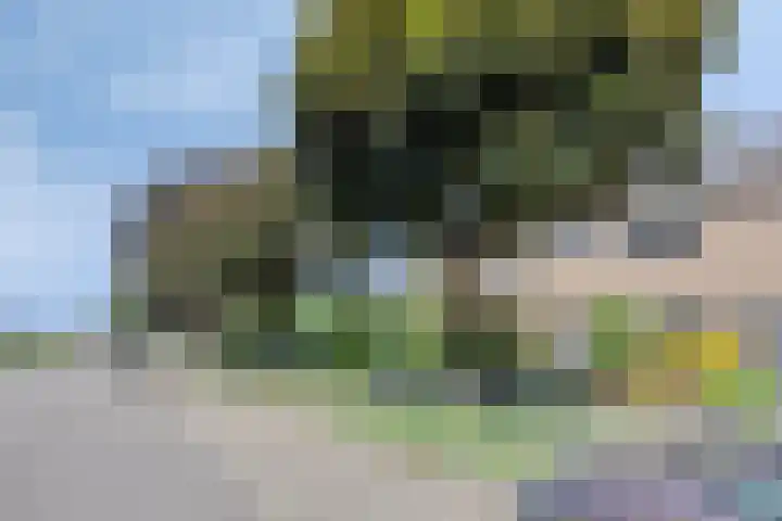 Vennestraat 35 Drunen thumbnail 30