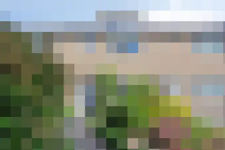 Vennestraat 35 Drunen thumbnail 32