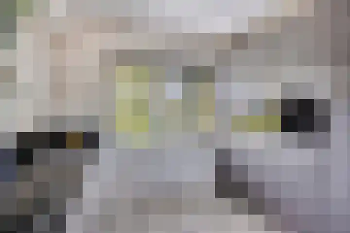 Vennestraat 35 Drunen thumbnail 5