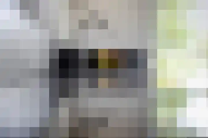 Vennestraat 35 Drunen thumbnail 8