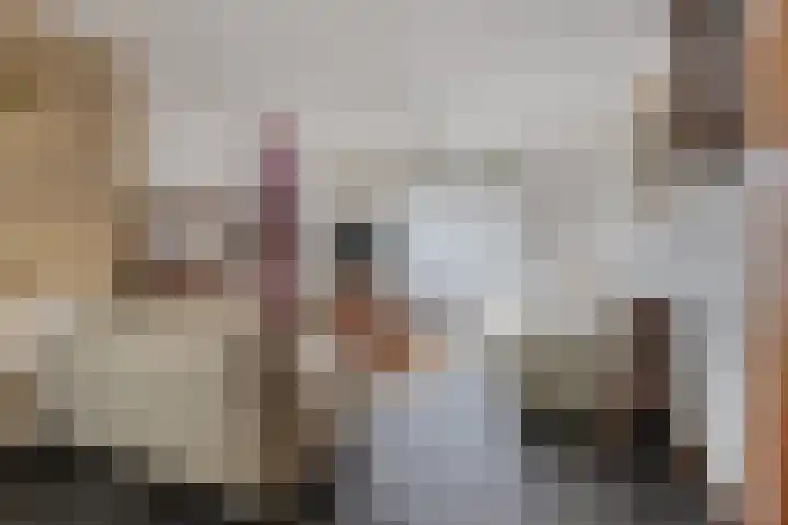 Venneweg 8 Goirle thumbnail 13