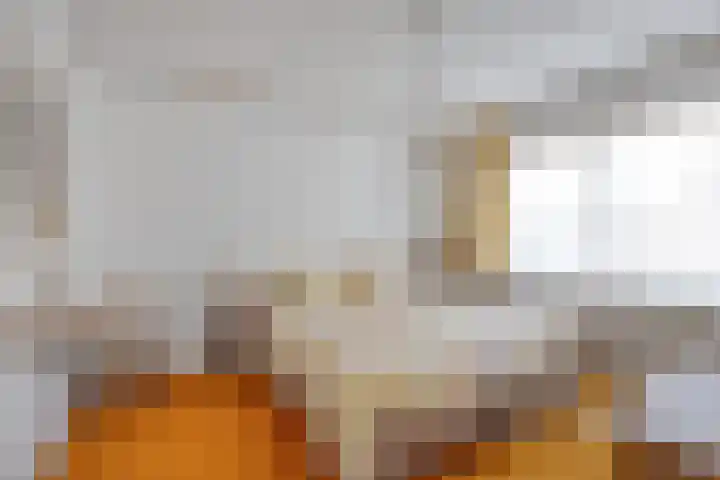 Venneweg 8 Goirle thumbnail 19
