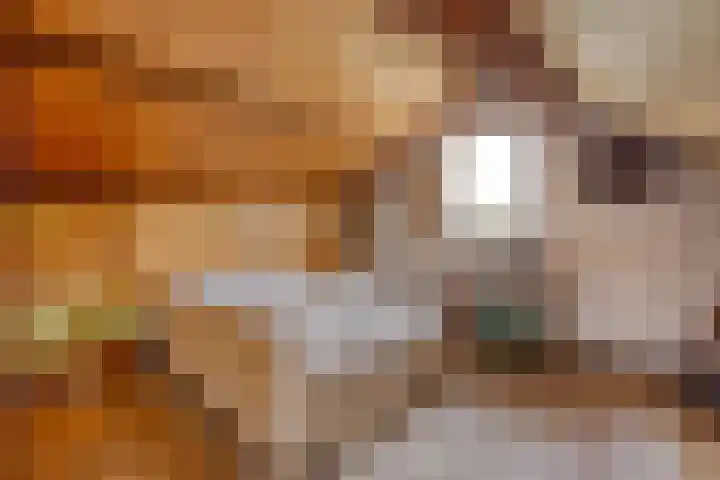 Venneweg 8 Goirle thumbnail 25