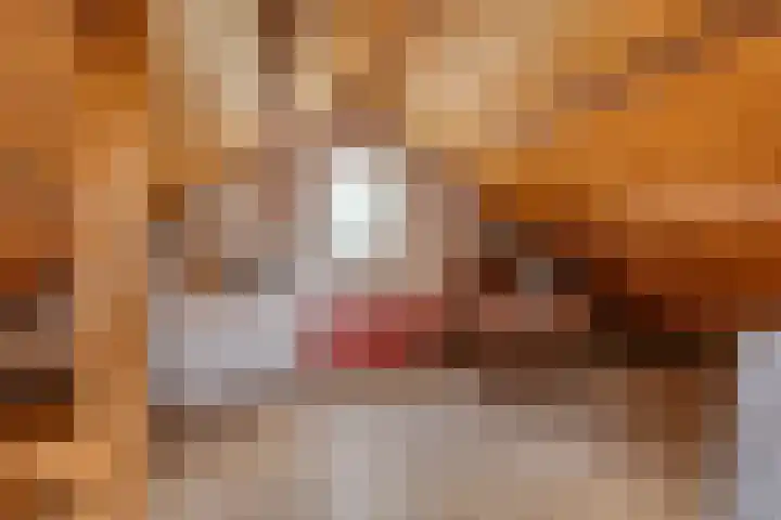 Venneweg 8 Goirle thumbnail 26