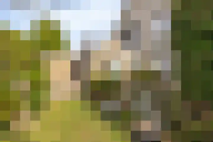 Venneweg 8 Goirle thumbnail 28
