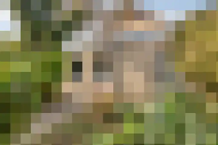 Venneweg 8 Goirle thumbnail 32