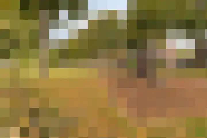 Venneweg 8 Goirle thumbnail 36