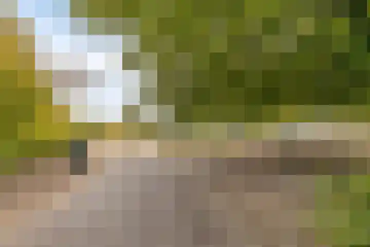 Venneweg 8 Goirle thumbnail 38