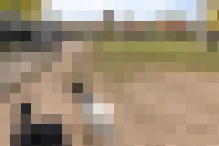 Venneweg 8 Goirle thumbnail 39