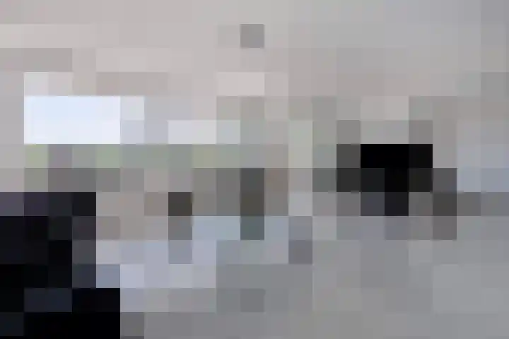 Venrayseweg 43 Venlo thumbnail 7