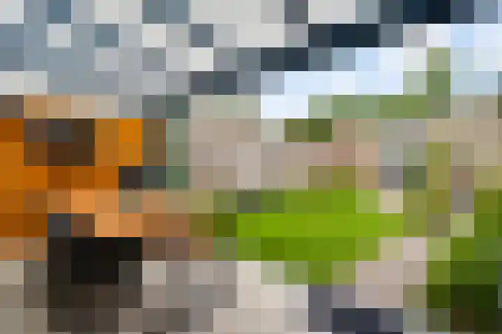 Venrayseweg 7 b Horst thumbnail 4