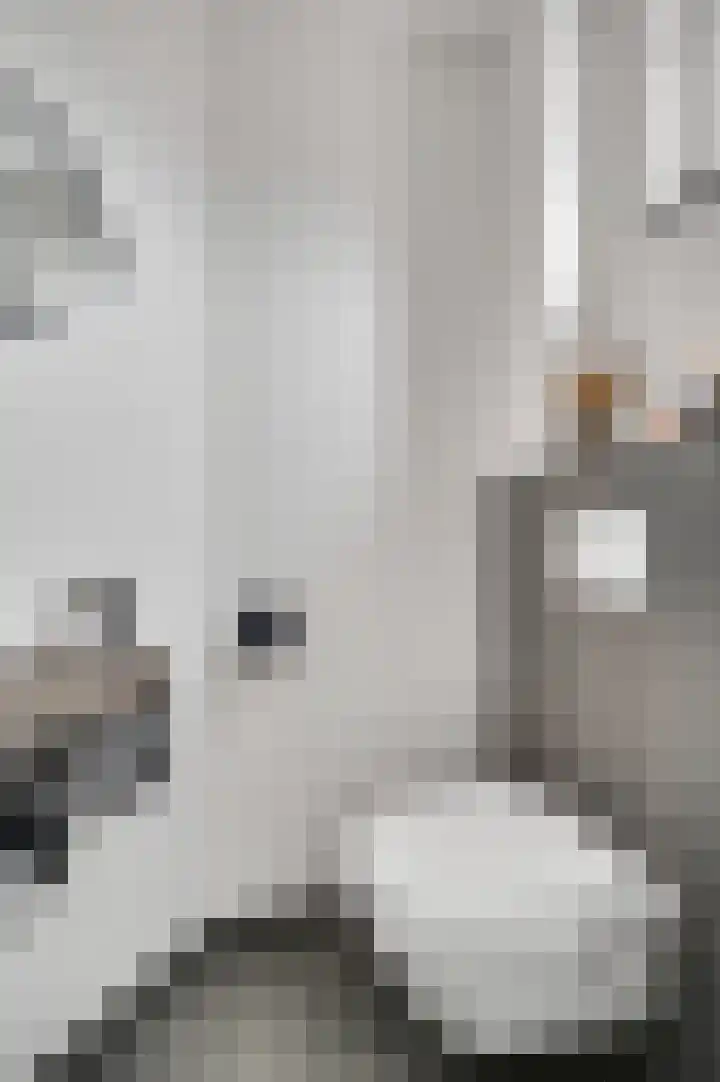 Venrayseweg 7 b Horst thumbnail 9