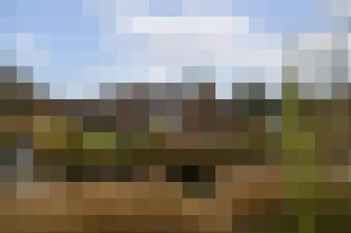 Venus 16 Katwijk thumbnail 28