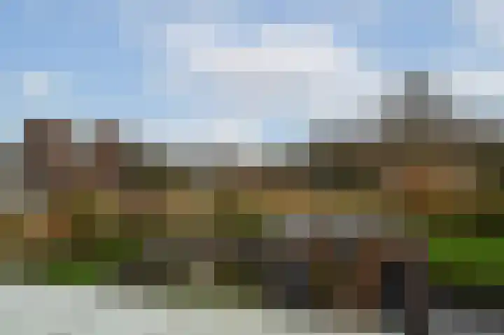 Venus 16 Katwijk thumbnail 4