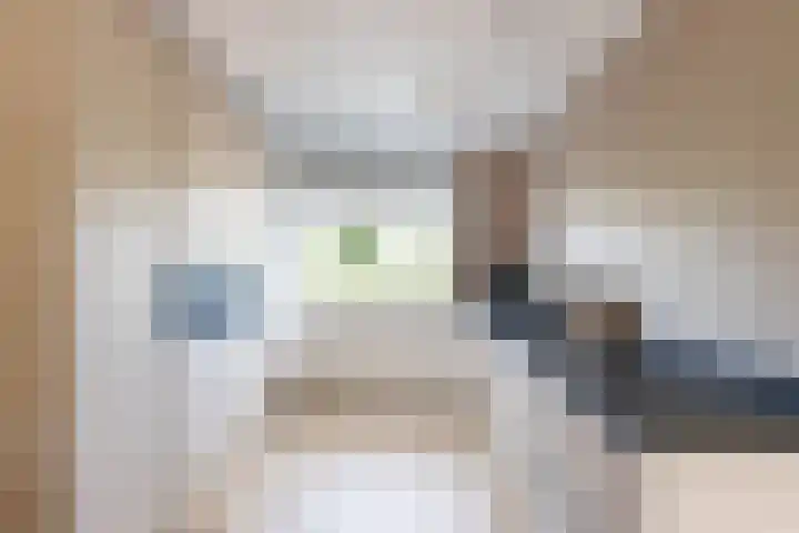 Venuskade 40 Assen thumbnail 12