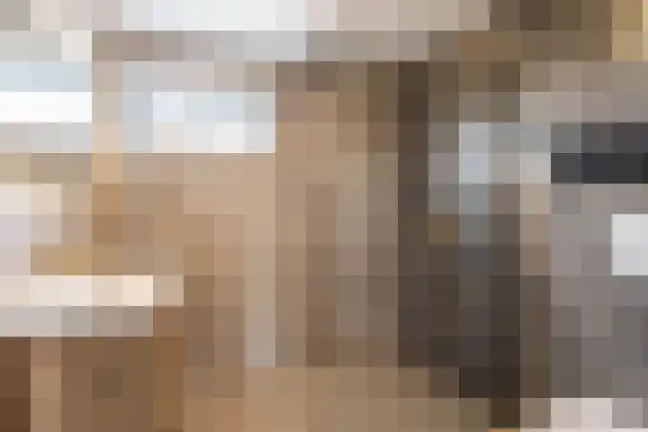 Venuskade 40 Assen thumbnail 4