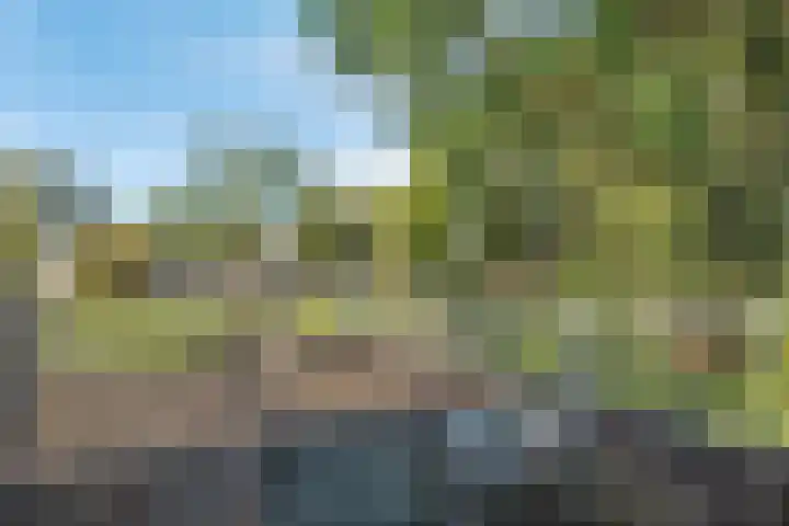 Venuslaan 27 Hardenberg thumbnail 30
