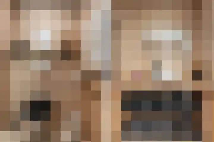 Venuslaan 27 Hardenberg thumbnail 35