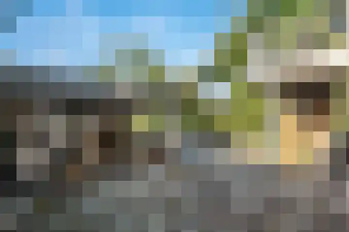 Venuslaan 27 Hardenberg thumbnail 39