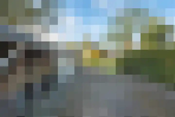 Venuslaan 27 Hardenberg thumbnail 42