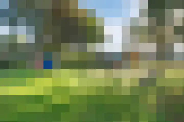 Venuslaan 27 Hardenberg thumbnail 43
