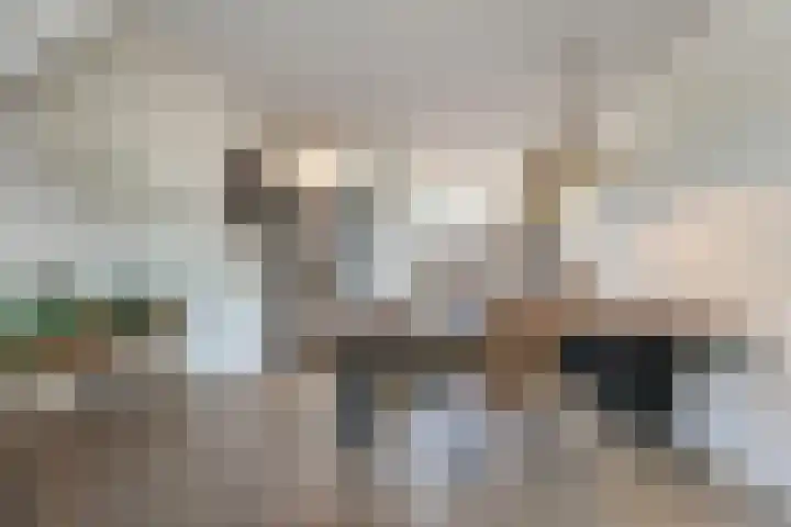 Venuslaan 27 Hardenberg thumbnail 7