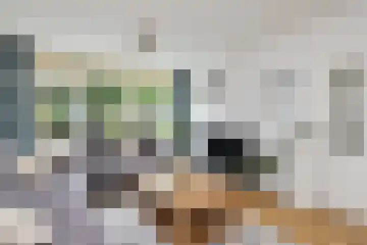 Venusstraat 5 Oudorp thumbnail 10