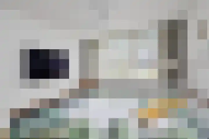 Venusstraat 5 Oudorp thumbnail 31