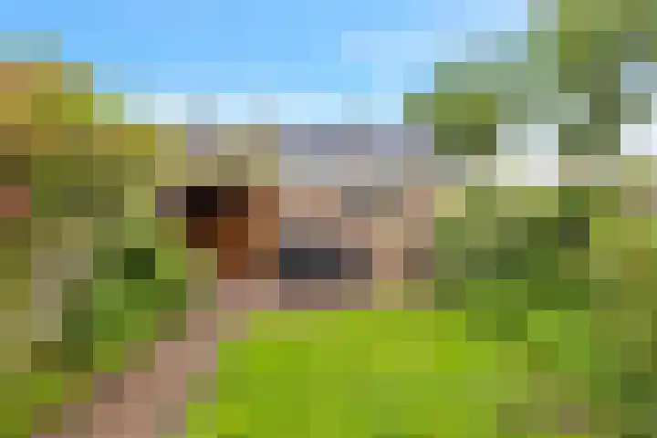 Venusstraat 5 Oudorp thumbnail 38