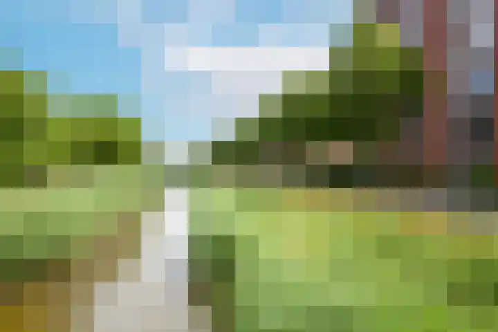 Team foto van Verbeek Bedrijfsmakelaars