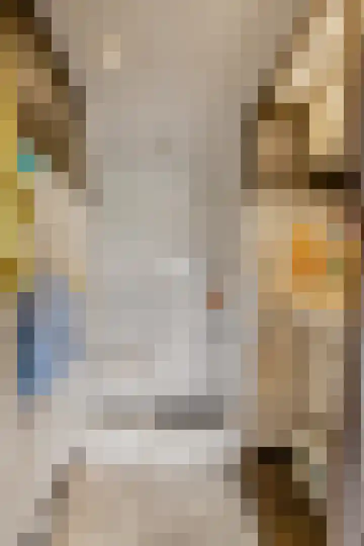 Verbindingsweg 23 Elst Ut thumbnail 11